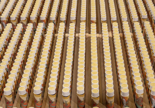 Tallow Lip Balm