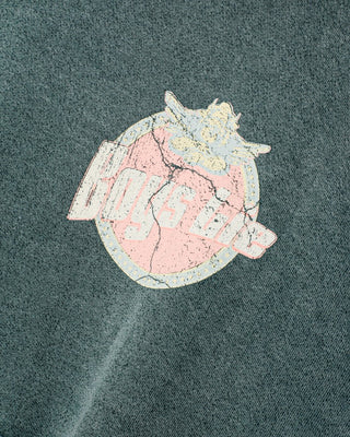 Boys Lie BREAKFAST BEERS PASTEL RACER HOODIE
